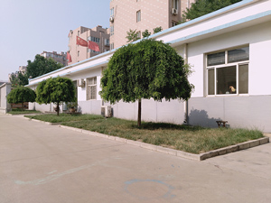 工廠(chǎng)相冊